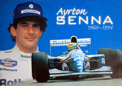 tam senna2